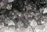 Sparkling Purple Amethyst Geode - Uruguay #46267-3